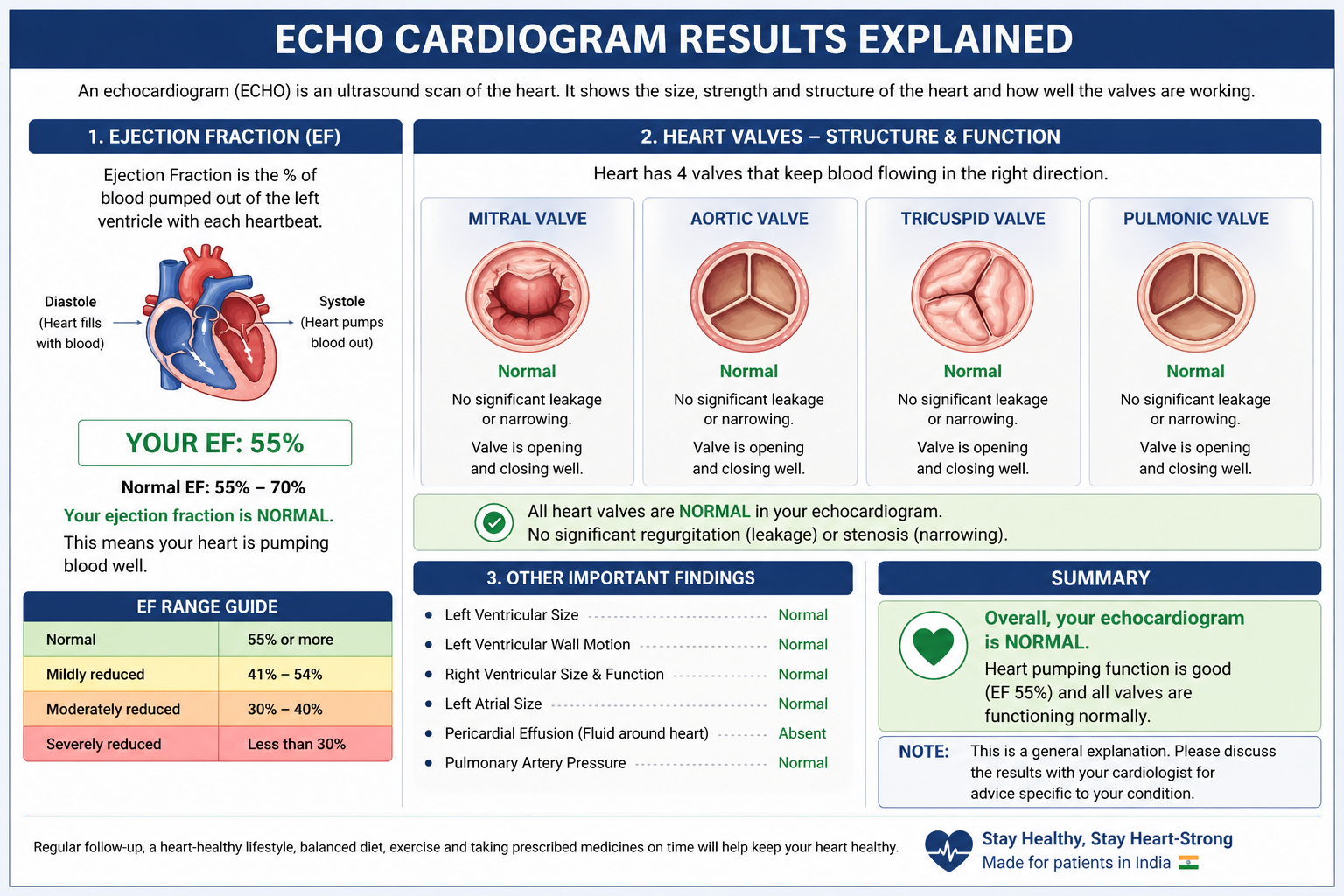 what is echocardiogram results explained ejection fraction valve India