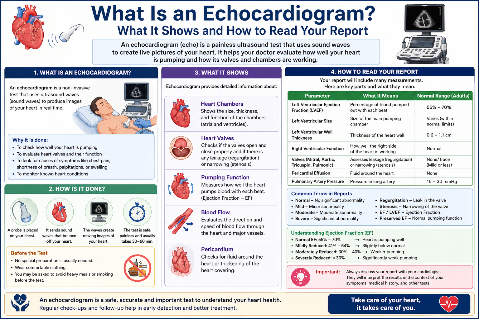 What Is an Echocardiogram? What It Shows and How to Read Your Report
